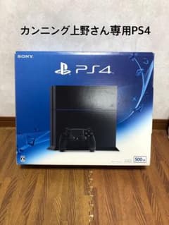 カンニング上野さん専用 PS4ブラック500GBのサムネイル