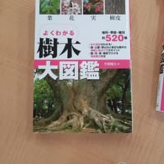 よくわかる樹木大図鑑 : 葉・花・実・樹皮のサムネイル