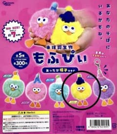 未確認生物　もふぴぃ　あったか帽子ver イエロー　ガチャガチャのサムネイル