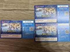 【速達可】東京サマーランド 1Dayパス 招待券 3枚セットのサムネイル