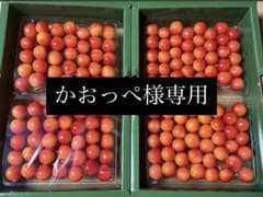 かおっぺ様専用のサムネイル
