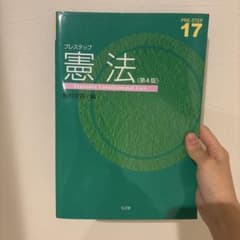 憲法 (第4版) Japanese Constitutional Lawのサムネイル