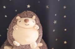 ハリネズミのぬいぐるみ小のサムネイル