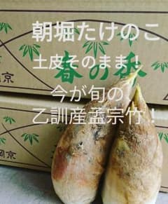 本場京都の新鮮筍２キロのサムネイル
