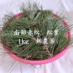 天然赤松 松葉 岩手県産 無農薬 1kg