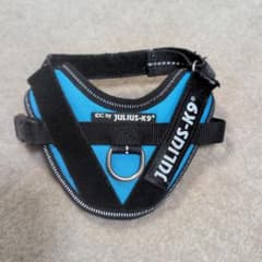 JULIUS-K9 IDC-Powerharness 3XS 青　Baby1のサムネイル