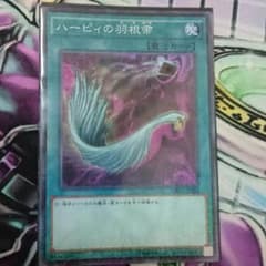 ハーピィの羽根帚 ミレニアムのサムネイル