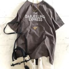 美品 ドゥーズィエムクラス DARJEELING Tシャツ ブラウン - メルカリ