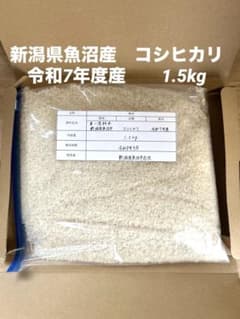 9月精米たて】新潟県魚沼産コシヒカリ 1.5kg 令和7年産 白米 お試し