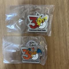 ポケモン 30周年記念 メタルチャーム ピカチュウ リザードンのサムネイル