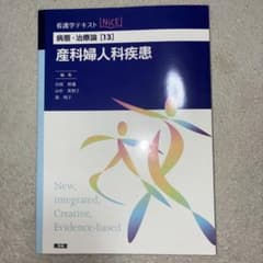 看護学テキスト NICE 病態・治療論[13] 産科婦人科疾患のサムネイル