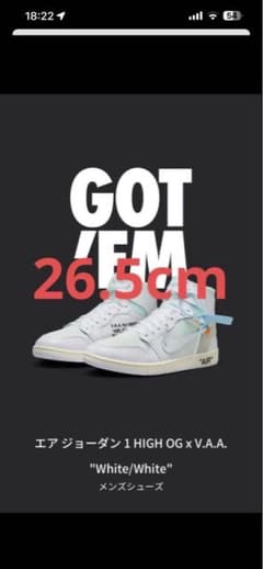 26.5cmV.A.A. × Jordan1 