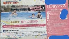 東京サマーランド 1Dayパス　1枚のサムネイル