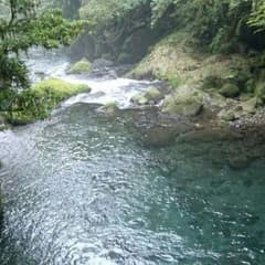 #034 yk様専用のサムネイル