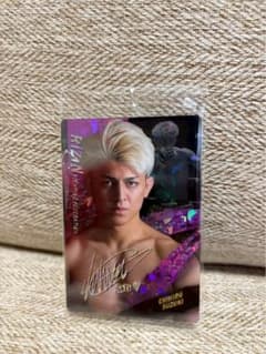 RIZIN 鈴木千裕のサムネイル