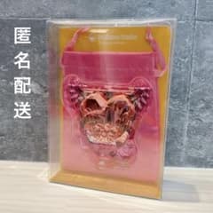 포켓몬 닌피아 미러 거울 포켓몬 센터