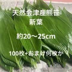 天然会津産笹の葉 新葉100枚+おまけのサムネイル