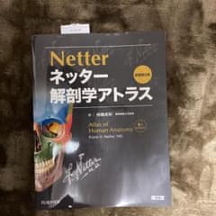 ネッター 解剖学アトラスのサムネイル