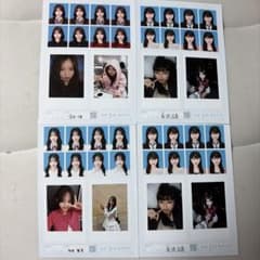 証明写真風フォトセット 4枚セットのサムネイル