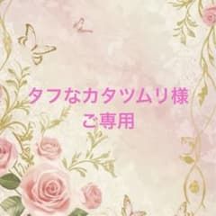 ⭐️ ご購入前に必ずコメントをお願いします 91、バラ苗 バラ挿し木苗