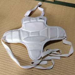専用MIZUNOプロテクターのサムネイル