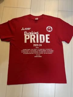 名古屋ダイヤモンドドルフィンズ　tシャツ　Lサイズ2枚のサムネイル