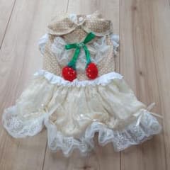 犬服　新品　さくらんぼ　ワンピースのサムネイル