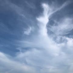AYA⭐︎様のサムネイル