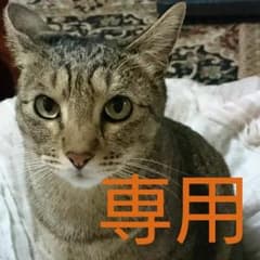 片寄ゆりか様 専用ページのサムネイル
