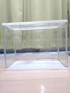 金魚元気 ぶくぶく水キレイセットS 初めて飼育簡単セットのサムネイル