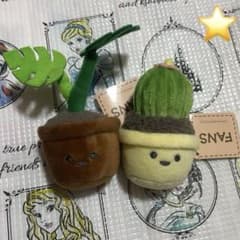 FANS 観葉植物 ミニぬいぐるみ 2個セット