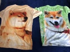 柴犬のTシャツ2枚のサムネイル