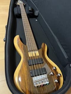 Aria Pro II IGB-55ROSE 5弦ベース - メルカリ