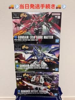 新品未開封 ガンダムアメイジングエクシア ダークマター 戦国アストレイ頑駄無 新品未開封 ガンダムアメイジングエクシア ダークマター 戦国
