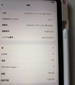 バッテリー容量100% iPadPro（第3世代）11インチ pencil2のサムネイル
