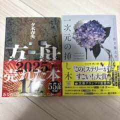話題のミステリー小説2冊セット 方舟 一次元の挿し木のサムネイル
