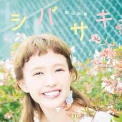 とみぃ様 専用 しばさき ちゃん スタイル ブックのサムネイル