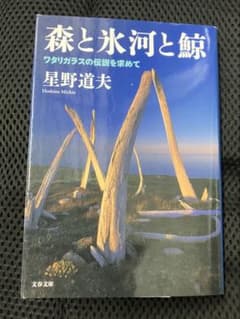 森と氷河と鯨 ワタリガラスの伝説を求めて 星野道夫 文春文庫のサムネイル