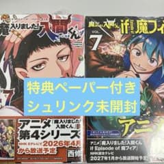 魔入りました！入間くん 47巻 if 魔フィア 7巻 特典ペーパー - メルカリ