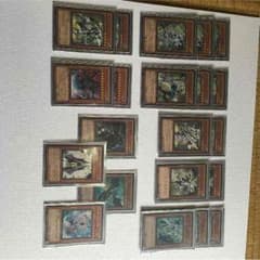 まーき様専用セイクリッドデッキのサムネイル