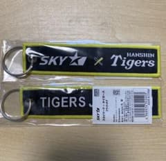 スカイマークとタイガース　キーホルダーのサムネイル