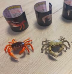 海洋堂　サワガニ　2個セットのサムネイル