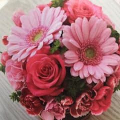 EYC***さま専用٩(๑′∀ ‵๑)۶•*¨*•.¸¸♪のサムネイル