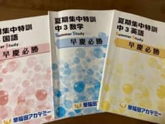 早稲田アカデミー　夏期集中特訓　桜蔭の国算理社　2025年度 早稲田アカデミー 中3 夏期集中特訓 早慶必勝 （英・数・国）2025年