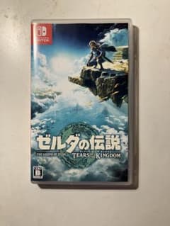 젤다의 전설 TEARS OF THE KINGDOM
