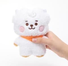 BT21 탄톤 베이비 봉제인형 S사이즈 RJ 아르제이