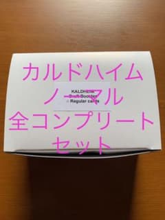 MTG カルドハイム日本語ノーマルカードフルコンプリートセット