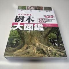 よくわかる樹木大図鑑 : 葉・花・実・樹皮のサムネイル