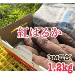 鹿児島県産さつまいも【SM混合紅はるか1．２kg】のサムネイル