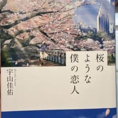 桜のような僕の恋人 宇山佳祐のサムネイル